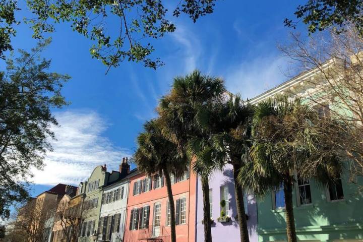 a tree in front of a building