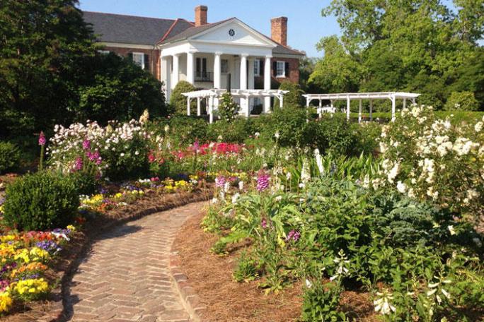 a close up of a flower garden in front of a house