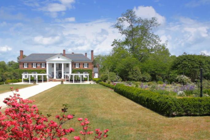 a close up of a flower garden