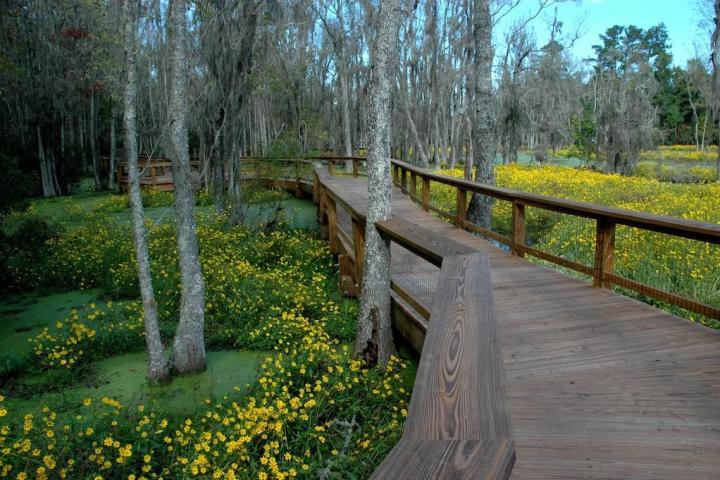 a wooden bench sitting next to a forest