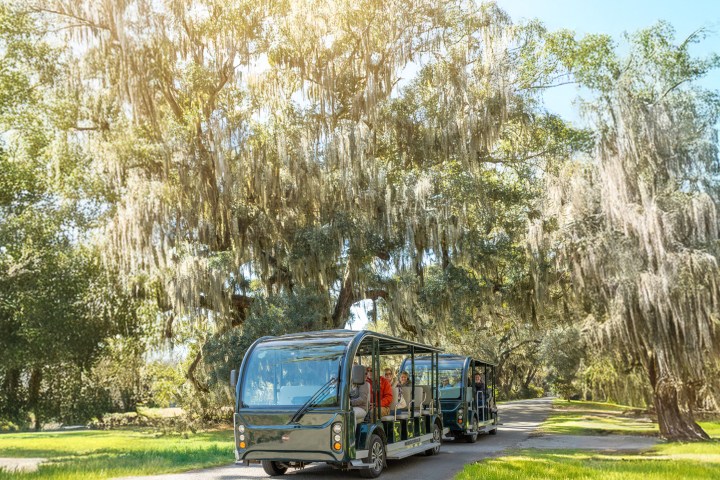 Open-air tour bus on sunny road, trees with hanging moss in background.